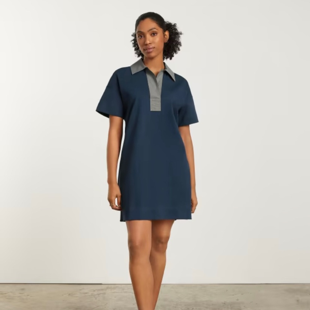 Everlane Organic Cotton Polo Dress